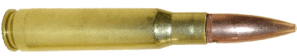 .50 caliber test round